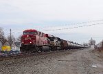 CP 8723-65D